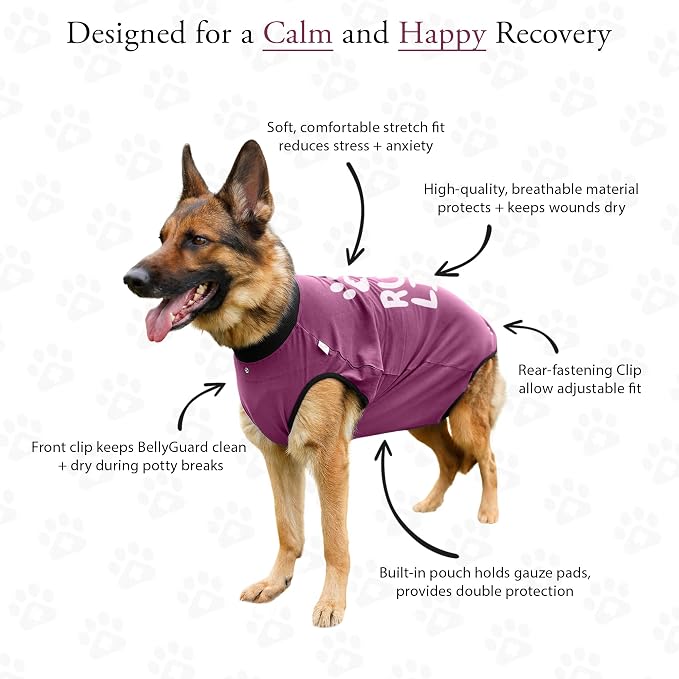 BellyGuard Dog Surgery Recovery Suit, Dog Onesie - Image 4