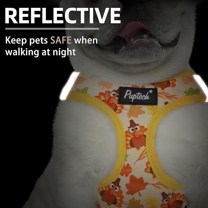 PUPTECK Dog Harness and Leash Set - Image 4