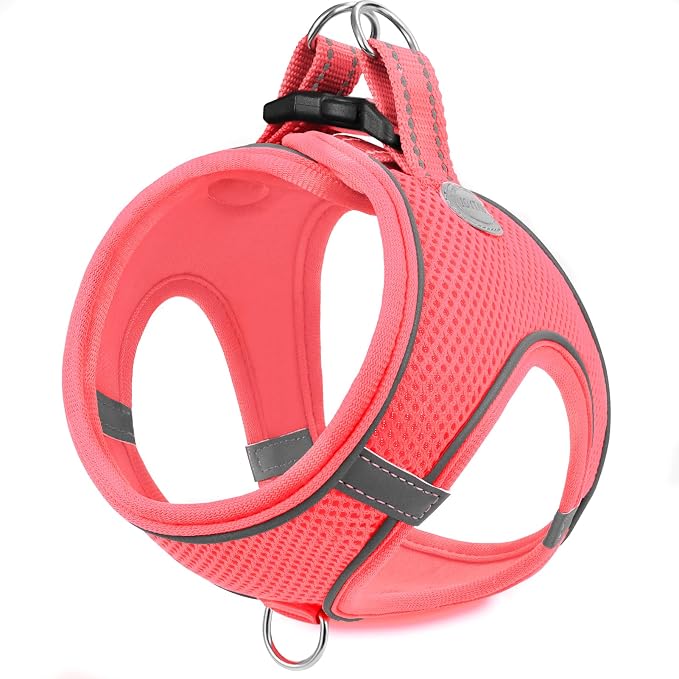 Joytale Small Dog Harness, Breathable Mesh Step-in Vest, Reflective Soft Padded by Joytale