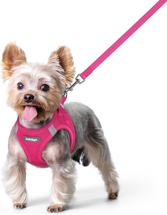 rabbitgoo Dog Harness Small Sized and Leash Set, Step in Soft Light Puppy Vest by rabbitgoo