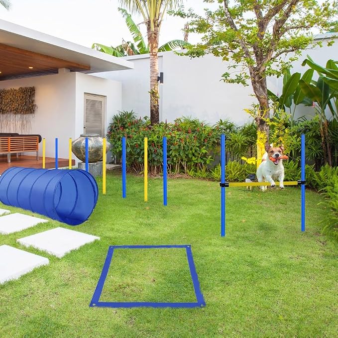 4PC Dog Agility Training Equipment by anwickjeff