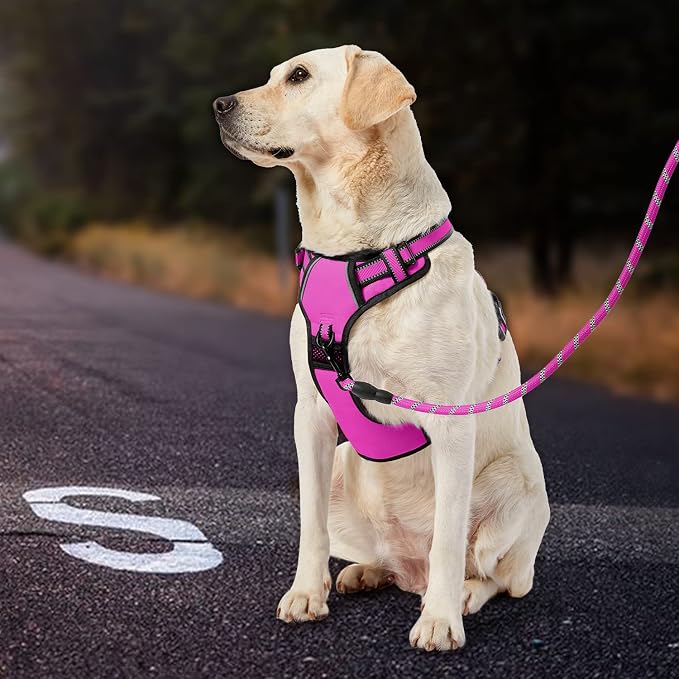 IVY&LANE No Pull Dog Harness for Large Dogs, Dog Vest Harness - Image 5