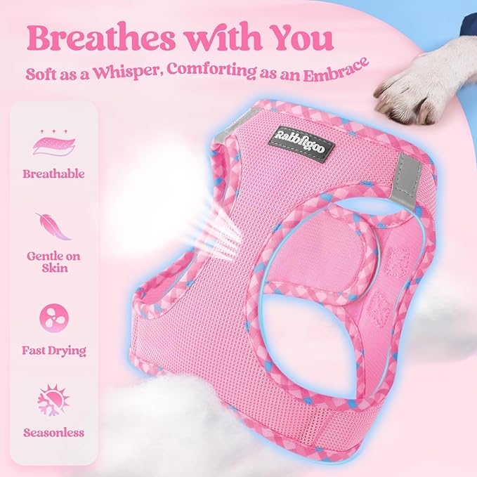 rabbitgoo Dog Harness Small Sized and Leash Set, Step in Soft Light Puppy Vest - Image 3