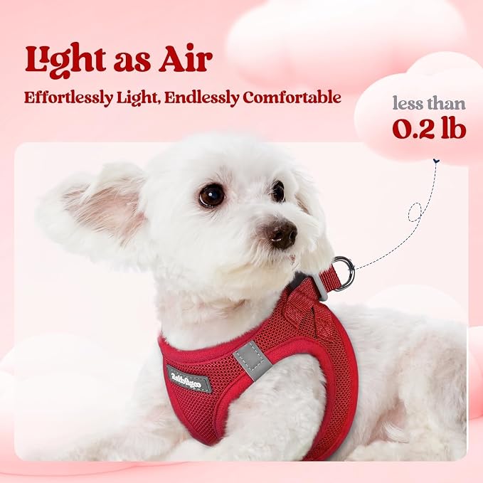 rabbitgoo Dog Harness Small Sized and Leash Set, Step in Soft Light Puppy Vest - Image 3
