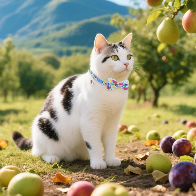 PUPTECK Summer Bow Tie Cat Collar - Image 9