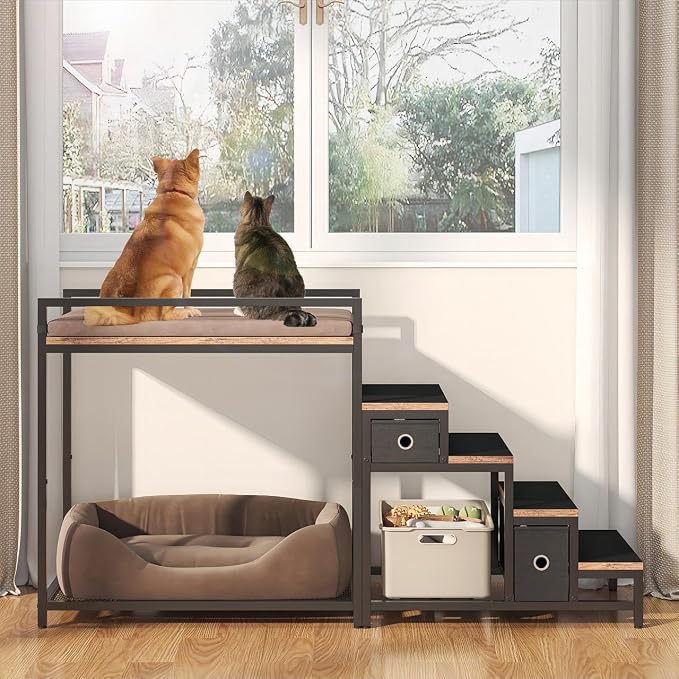 Pet Bunk Bed with Removable Stairs and 2 Drawers, Dogs/Cats Window Perch by Saudism