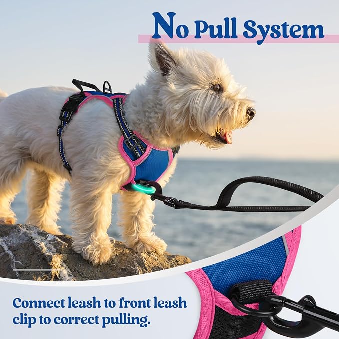 rabbitgoo Dog Harness No Pull - Image 5