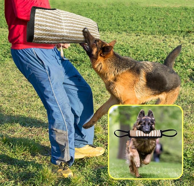 Professional Dog Bite Training Set 3 in 1 Dog Bite Sleeve Arm + Whip Agitation - Image 5