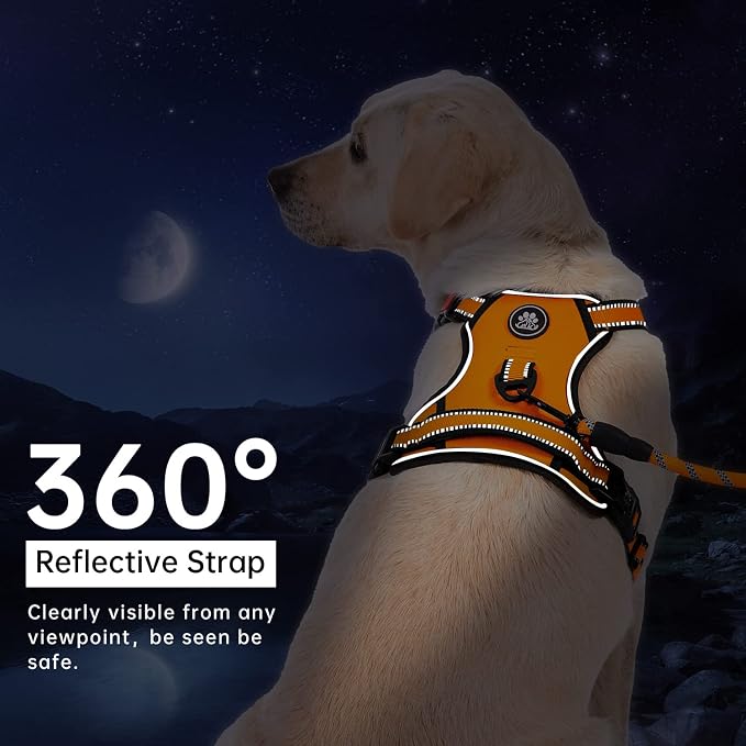 IVY&LANE No Pull Dog Harness for Small Dogs, Vest Harness - Image 6