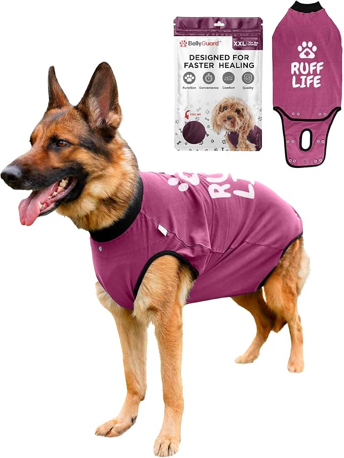 BellyGuard Dog Surgery Recovery Suit, Dog Onesie by BELLYGUARD