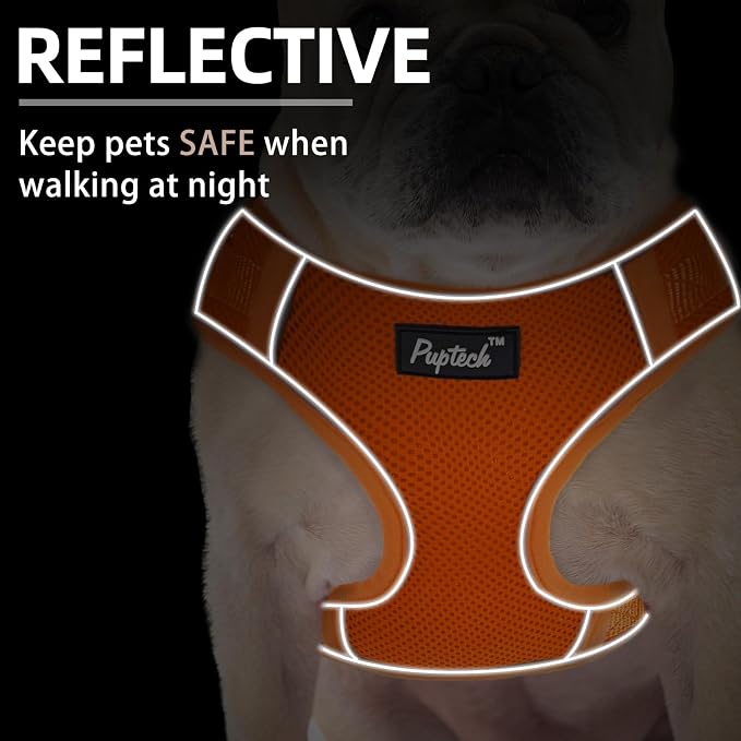 PUPTECK Small Dog Harness and Leash Set, No Pull Adjustable Puppy Cat Harness - Image 5