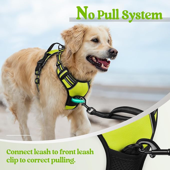 rabbitgoo Dog Harness No Pull - Image 5