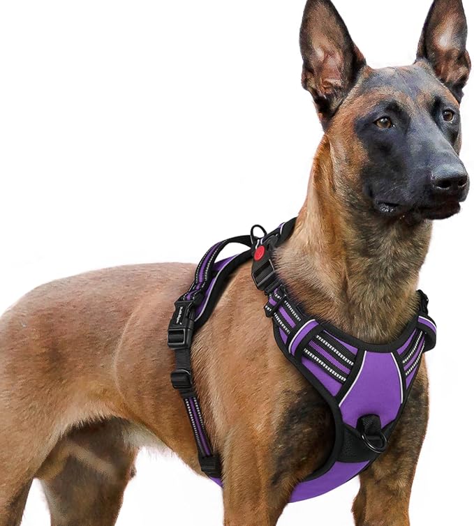 rabbitgoo Dog Harness for Large, No Pull Pet Harness by rabbitgoo