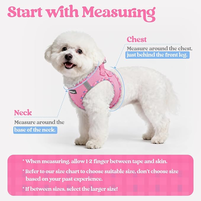 rabbitgoo Dog Harness Small Sized and Leash Set, Step in Soft Light Puppy Vest - Image 2