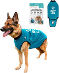 BellyGuard Dog Surgery Recovery Suit, Dog Onesie by BELLYGUARD