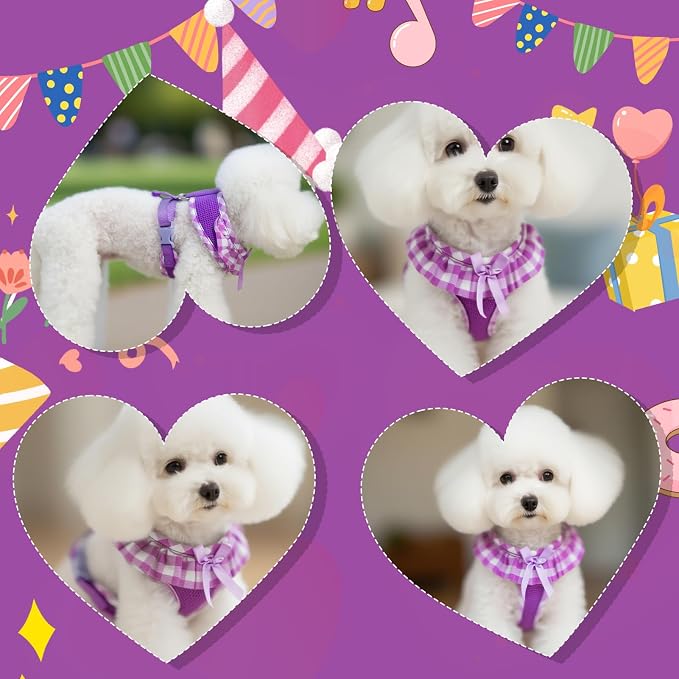 EXPAWLORER Cute Dog Harness Collar Leash Set - Image 7