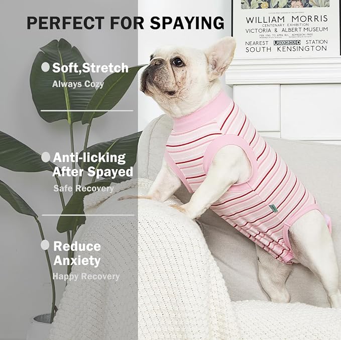 Sebdtico Recovery Suit for Dogs, Dog Surgery Suit Female Spay, Soft Dog Onesie - Image 2