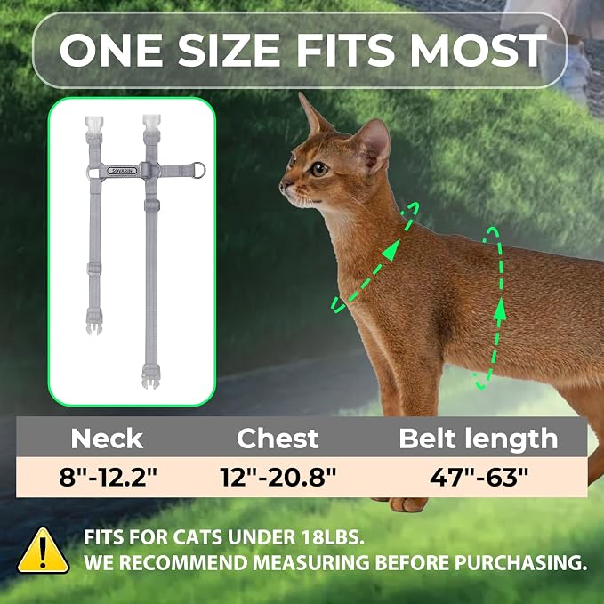 Cat Harness and Leash Set - Image 4