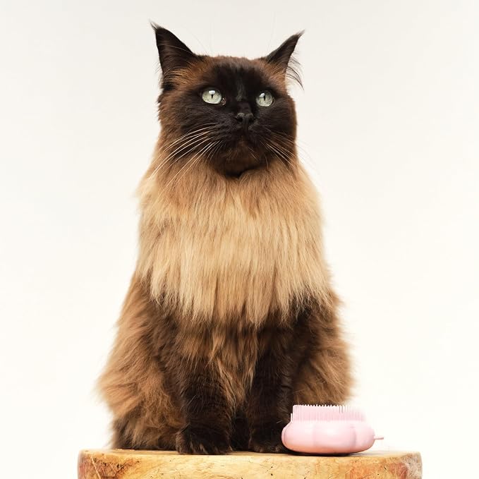 Pet Teezer by Tangle Teezer Cat Brush, De-Shedding Cat Hair Brush - Image 6