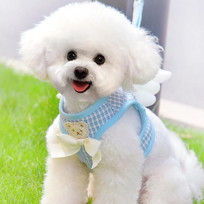 Dog Harness and Leash Set with Angle Wings, Pet Adjustable Mesh Vest Harness - Image 2