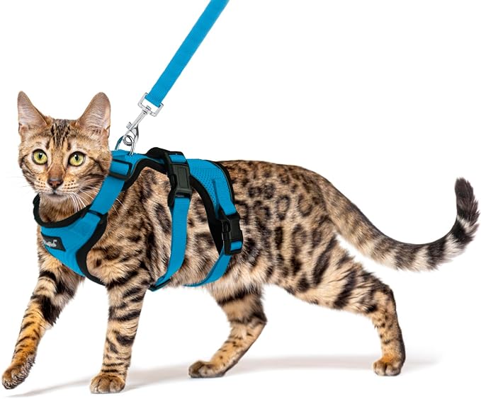 PUPTECK Cat Harness and Leash Set Escape Proof by PUPTECK