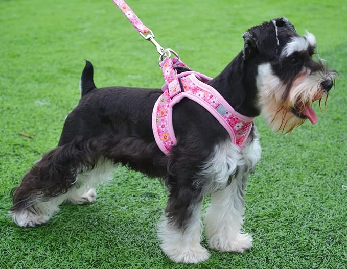 Moonpet Step in Dog Harness Leash Set- All Weather Reflective No-Pull Floral - Image 4