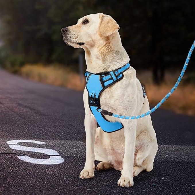 IVY&LANE No Pull Dog Harness for Small Dogs, Dog Vest Harness - Image 7