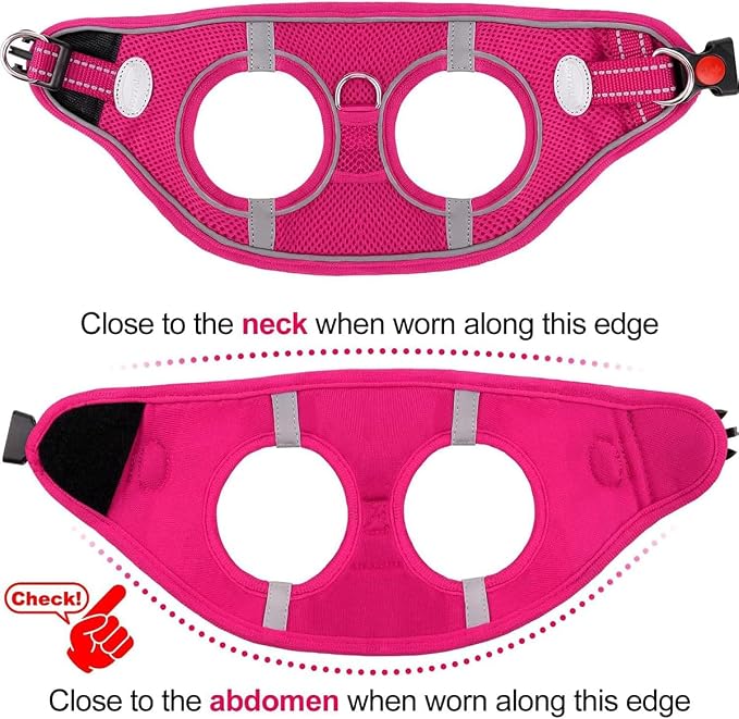 Joytale Small Dog Harness, Breathable Mesh Step-in Vest, Reflective Soft Padded - Image 6