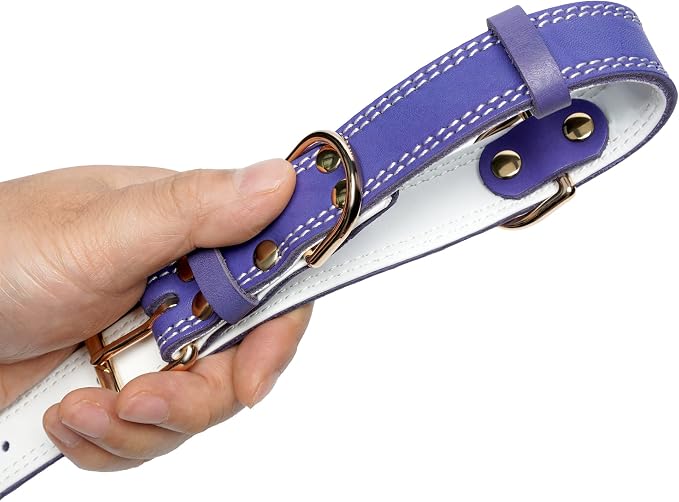 Genuine Leather Dog Collar, Heavy Duty Wide Dog Collar, - Image 4