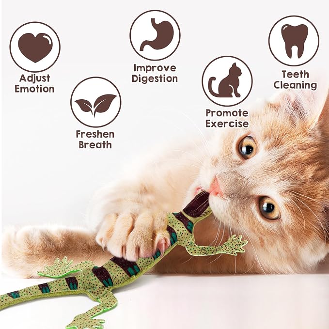 CiyvoLyeen Lizard Catnip Toys Chew Bite Resistant Toys - Image 2