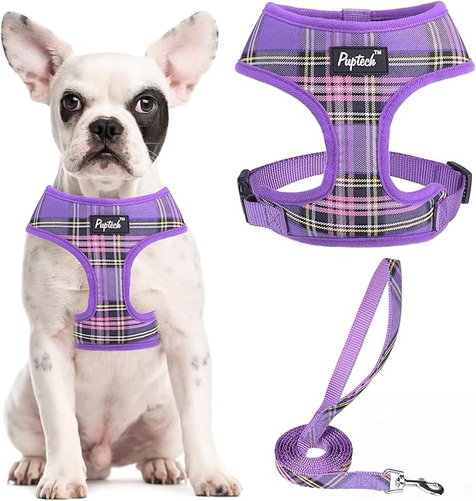 PUPTECK Soft Mesh Dog Harness and Leash Set Pet Puppy Cat Comfort Padded Vest by PUPTECK