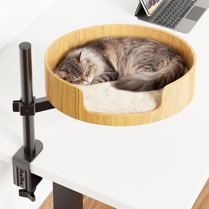 Cat Desk Bed – Cat Bed for Indoor Cats by Spacocld