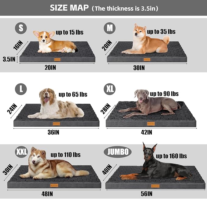 Patas Lague Orthopedic Dog Bed Large Sized Dog 36''X24'', Waterproof Soft - Image 5