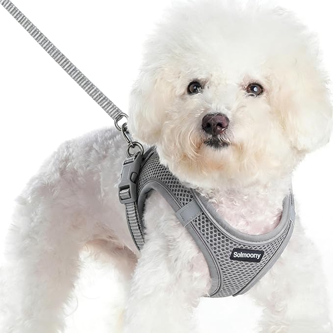 Solmoony Sparkly XXXS Dog Harness and Leash Set, Step in Soft Light Puppy Vest - Image 2