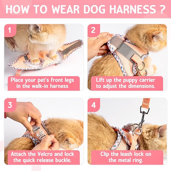 XXS Cat Harness and Leash Set - Image 4