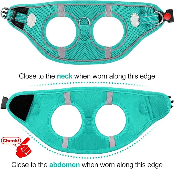 Joytale Small Dog Harness, Breathable Mesh Step-in Vest, Reflective Soft Padded - Image 6