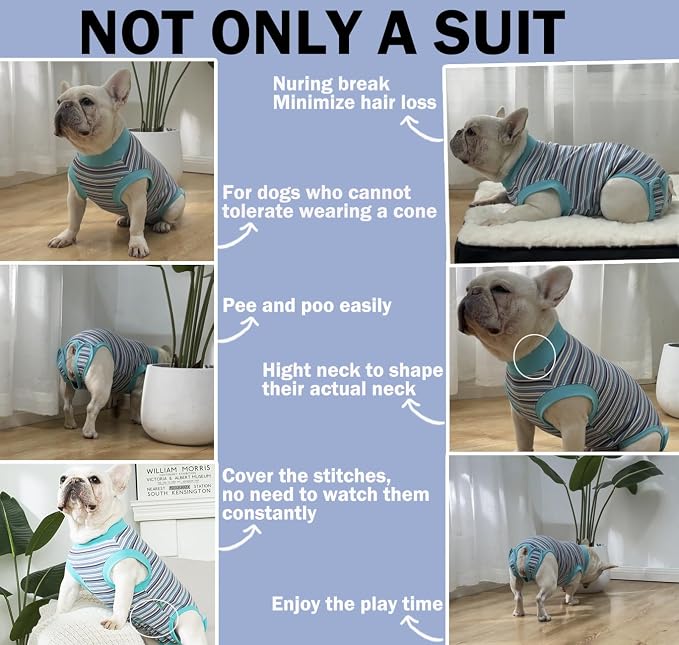Sebdtico Recovery Suit for Dogs, Dog Surgery Suit Female Spay, Soft Dog Onesie - Image 4