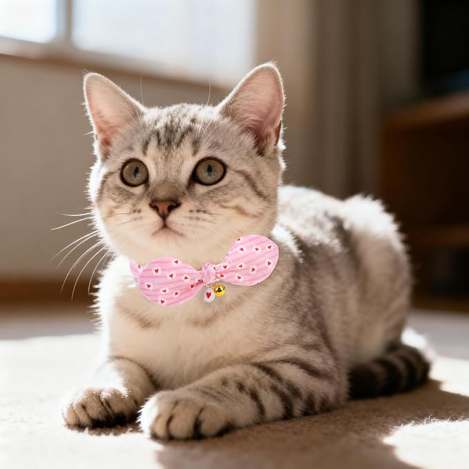 EXPAWLORER Bunny Ear Cat Collar - Image 8