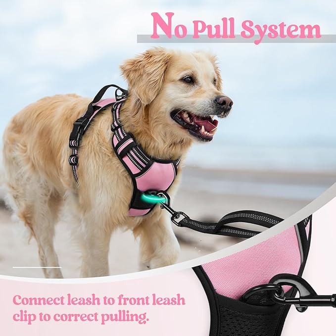 rabbitgoo Dog Harness No Pull - Image 5