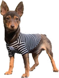 YQYS Pet T-Shirts Thick Striped Cotton Tee Shirt by YQYS-SmallDogClothing