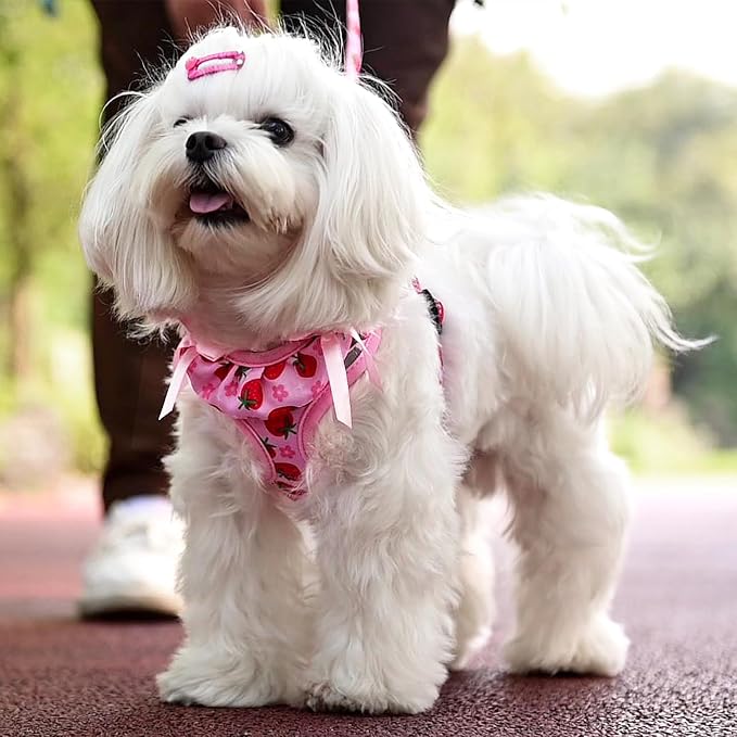 PUPTECK Dog Harness and Leash Set Small Sized, Step in No Pull Adjustable Puppy - Image 5