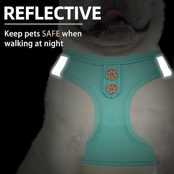 PUPTECK Dog Harness and Leash Set - Image 5