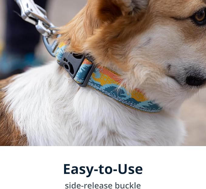 Ruffwear, Crag Dog Collar, Stylish Adventure Collar - Image 4