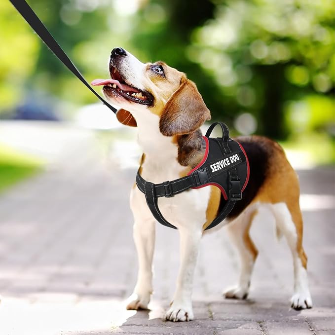 voopet Emotional Support Dog Harness, Professional Service Dog Vest Harness - Image 4