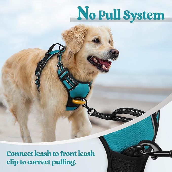rabbitgoo Dog Harness No Pull - Image 5
