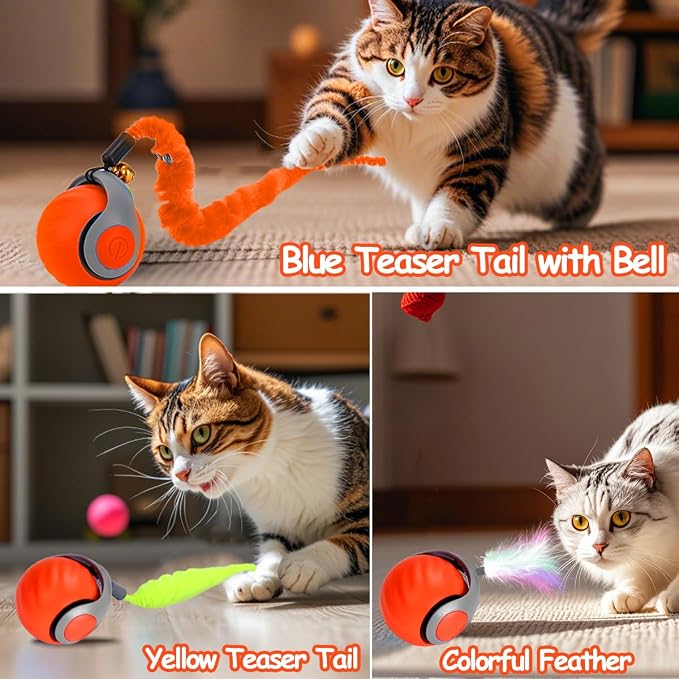 Interactive Cat Ball Toy, Self Rolling Ball - Image 7