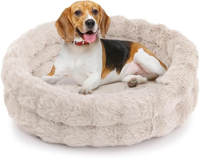 Cat Beds for Indoor Cats, Washable Round Beds for Small Dog and Cats, Soft by Morikey
