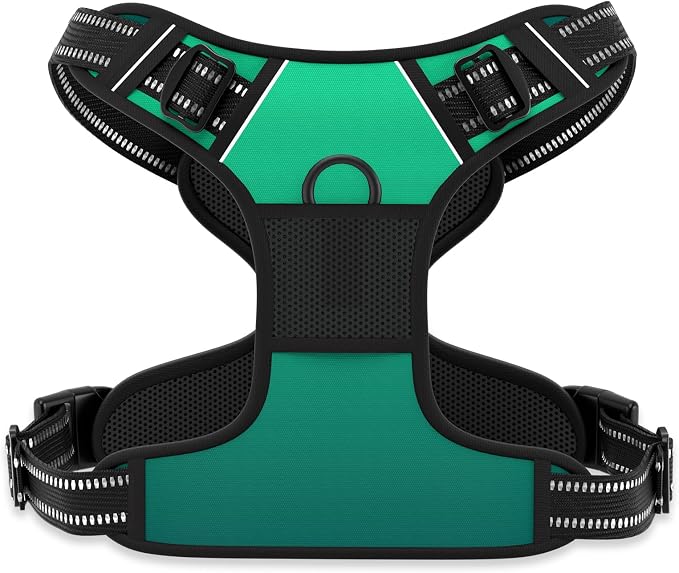 Rnivvi No Pull Dog Harness, Cute Reflective X-Large Sized Puppy Harness by Rnivvi