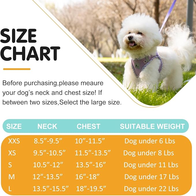 Dog Harness & Leash Set - Image 6