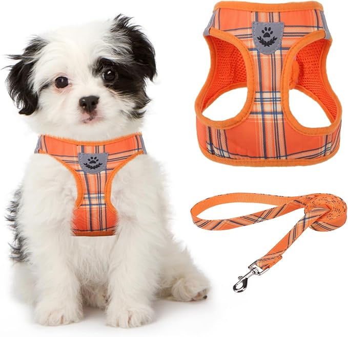 KOOLTAIL Thanksgiving Dog Harness by KOOLTAIL